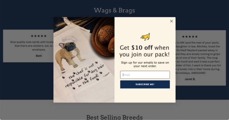 Wags and brags full page form - Email marketing pro tips | Tizzit.co - start and grow a successful handmade business